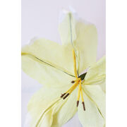 Large yellow lily paper flower